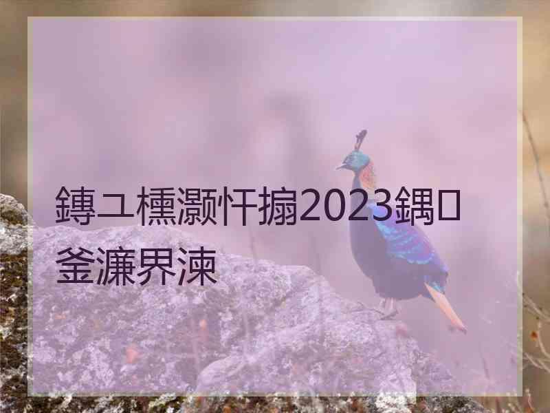 鏄ユ櫄灏忓搧2023鍝釜濂界湅