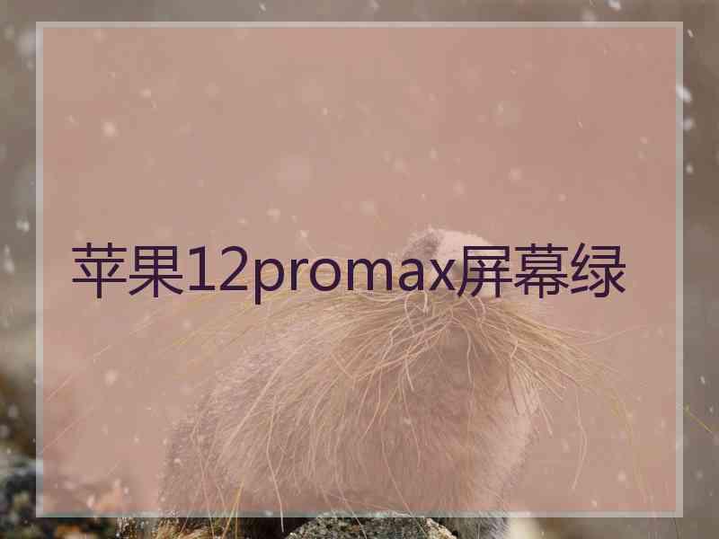 苹果12promax屏幕绿