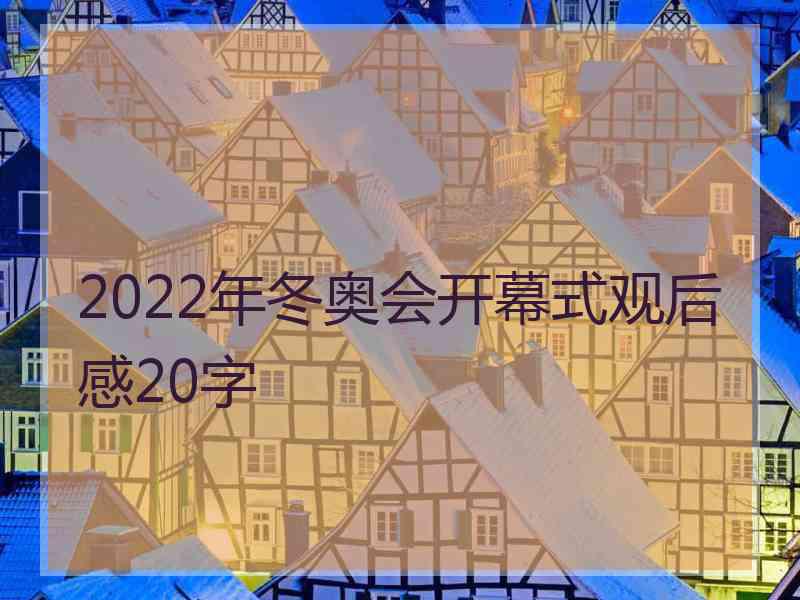 2022年冬奥会开幕式观后感20字