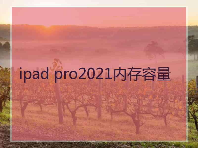 ipad pro2021内存容量