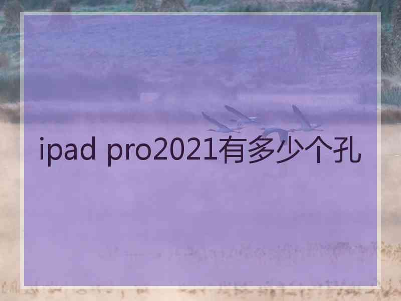 ipad pro2021有多少个孔