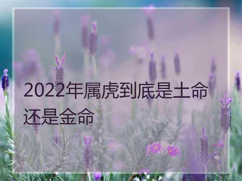 2022年属虎到底是土命还是金命