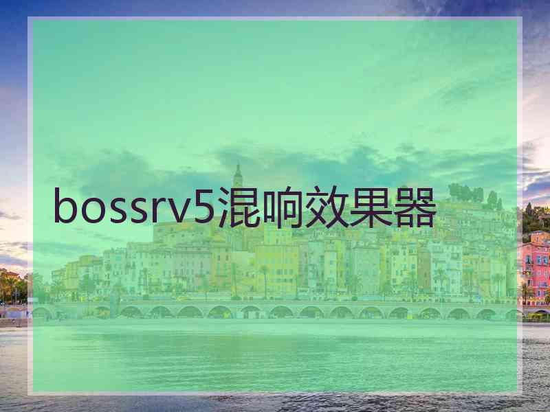 bossrv5混响效果器