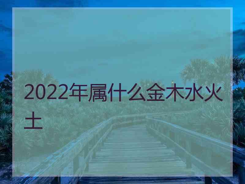 2022年属什么金木水火土