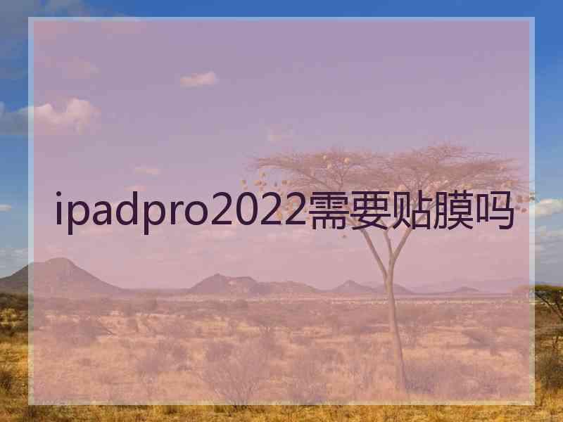 ipadpro2022需要贴膜吗