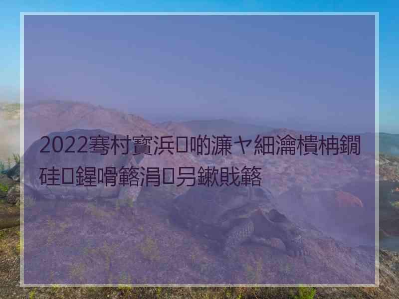 2022骞村寳浜啲濂ヤ細瀹樻柟鐗硅鍟嗗簵涓叧鏉戝簵