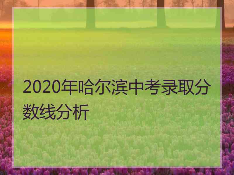 2020年哈尔滨中考录取分数线分析