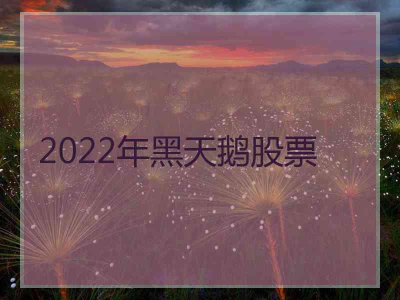 2022年黑天鹅股票