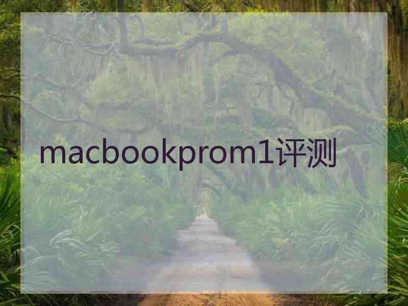 macbookprom1评测