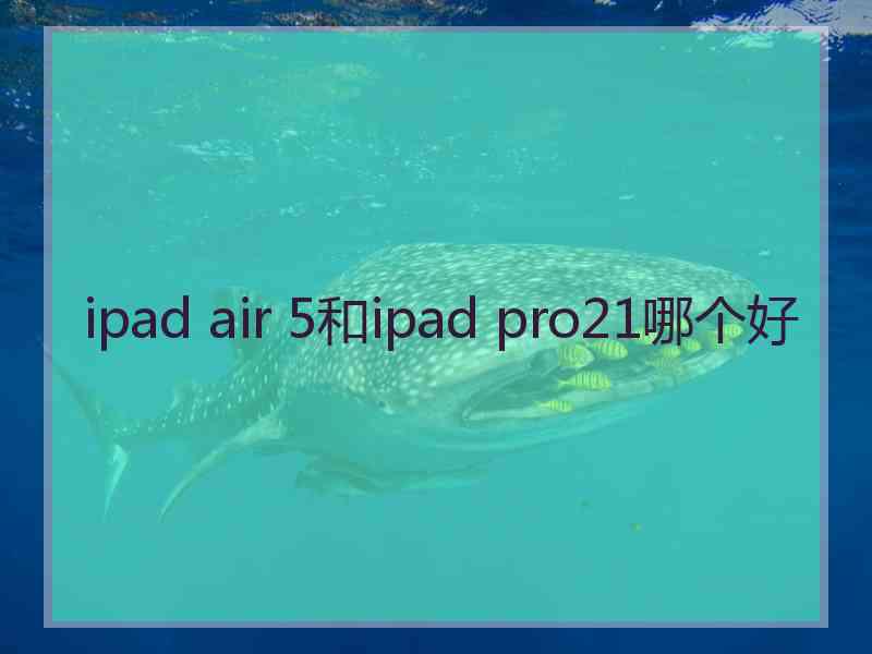 ipad air 5和ipad pro21哪个好