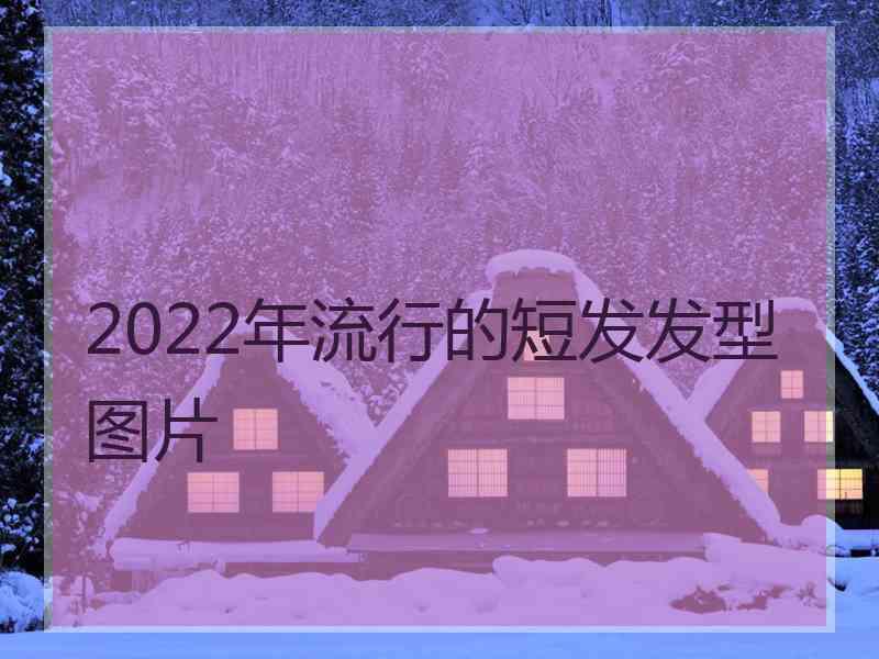 2022年流行的短发发型图片