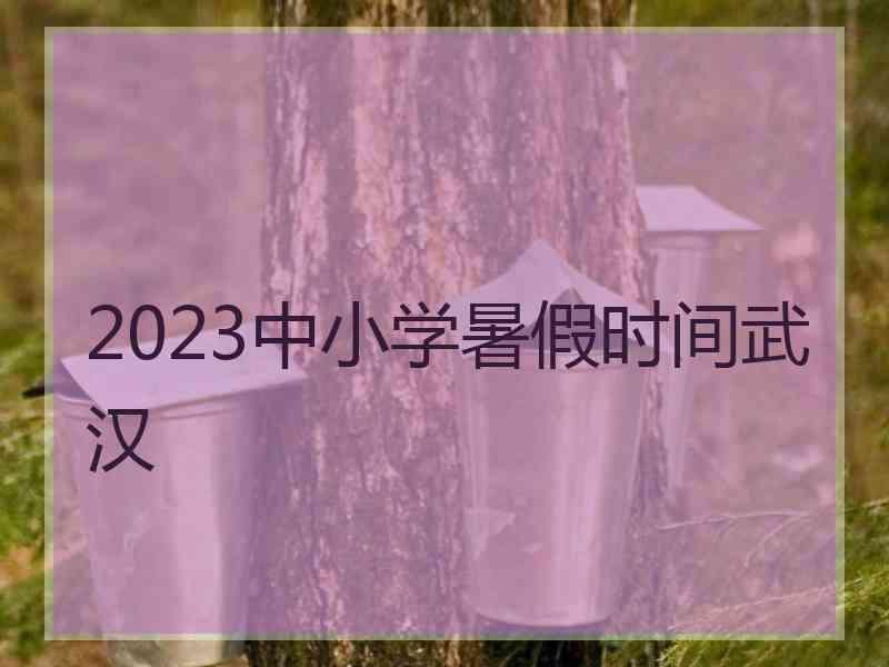 2023中小学暑假时间武汉