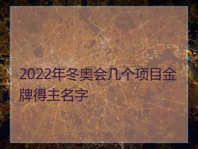 2022年冬奥会几个项目金牌得主名字