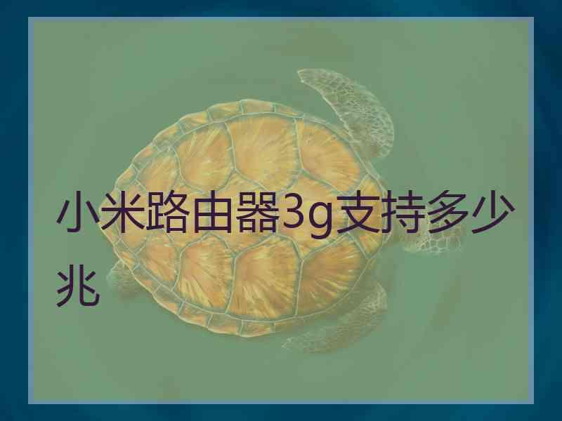 小米路由器3g支持多少兆