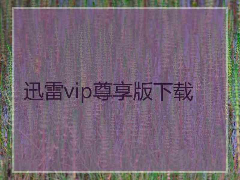 迅雷vip尊享版下载