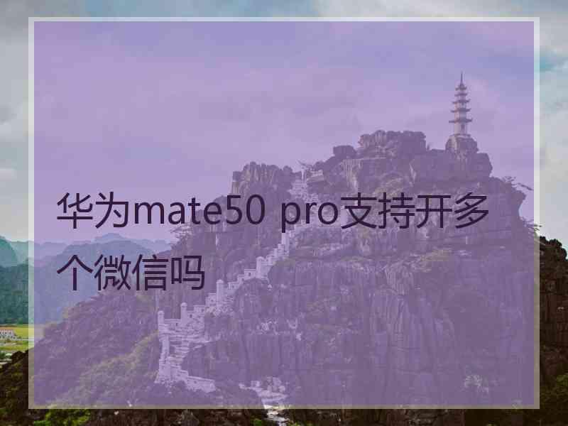 华为mate50 pro支持开多个微信吗