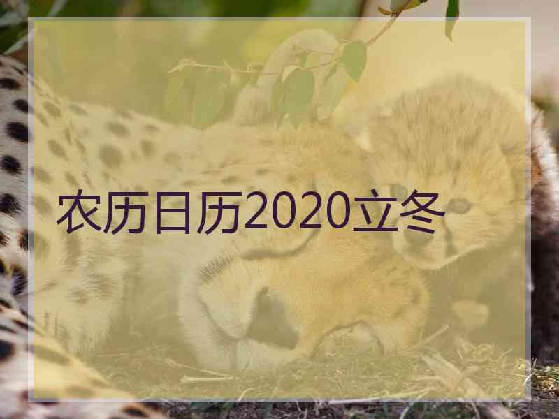 农历日历2020立冬