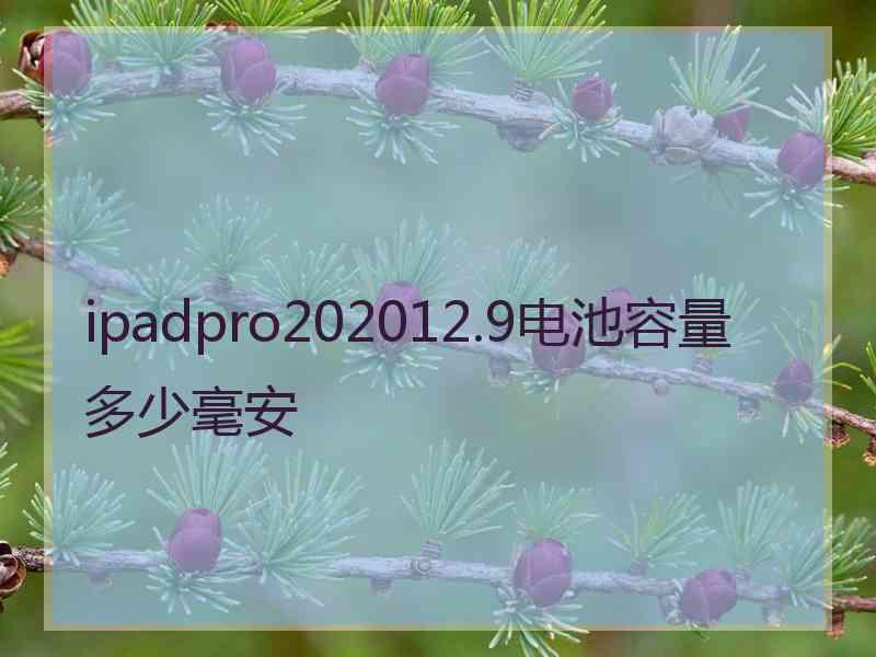 ipadpro202012.9电池容量多少毫安