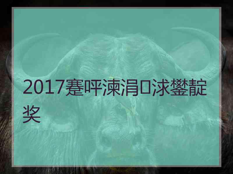 2017蹇呯湅涓浗鐢靛奖