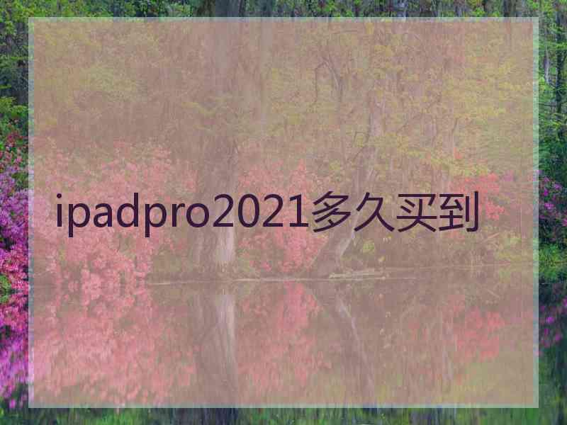 ipadpro2021多久买到