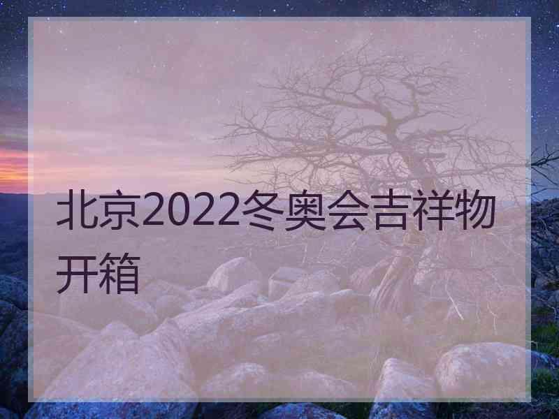 北京2022冬奥会吉祥物开箱