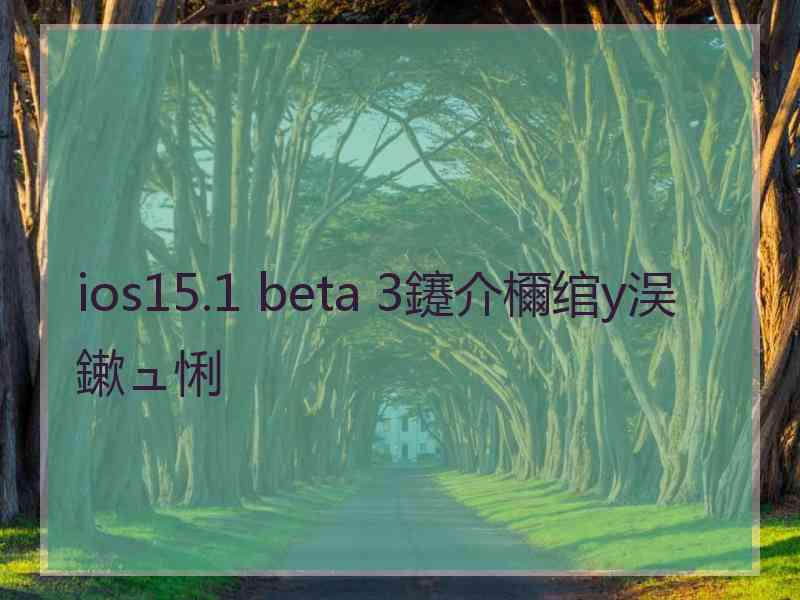 ios15.1 beta 3鑳介檷绾у洖鏉ュ悧