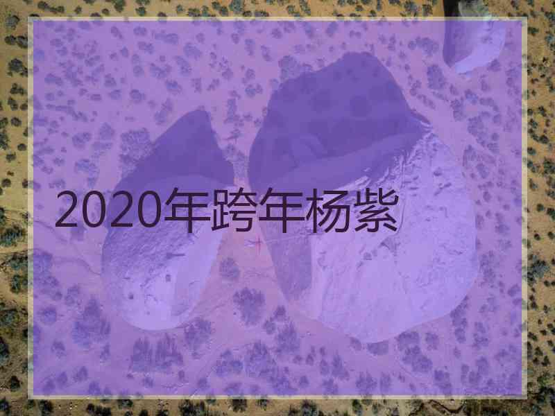 2020年跨年杨紫