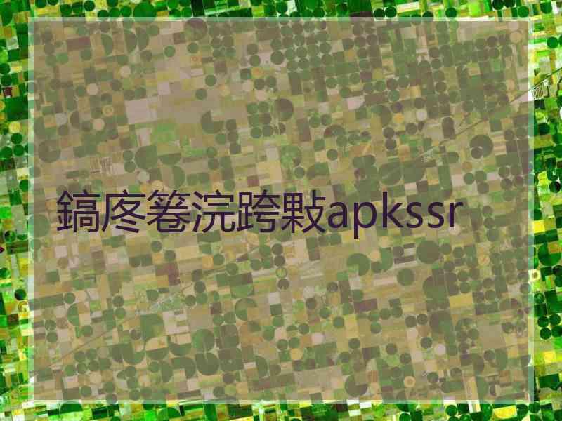 鎬庝箞浣跨敤apkssr