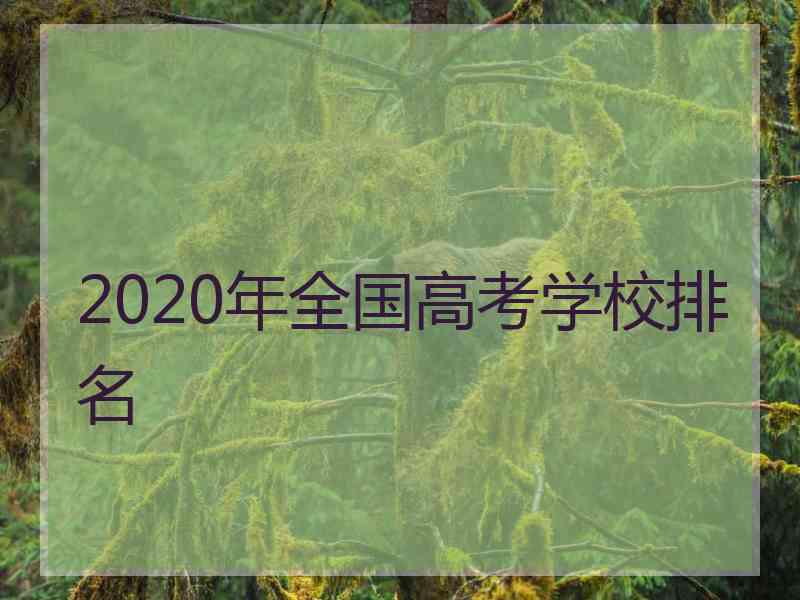 2020年全国高考学校排名