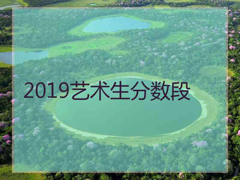 2019艺术生分数段