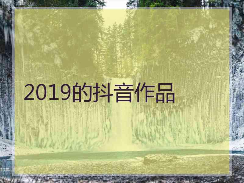 2019的抖音作品