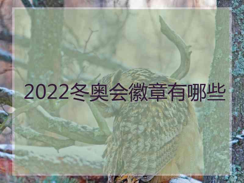 2022冬奥会徽章有哪些