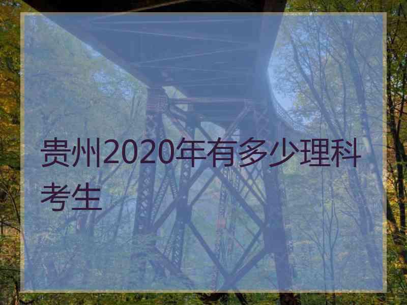 贵州2020年有多少理科考生