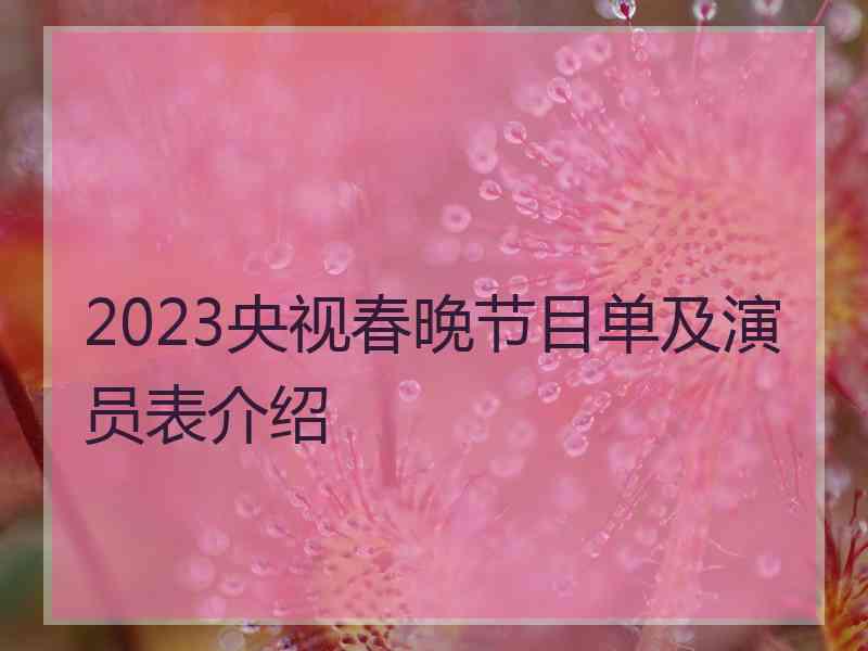 2023央视春晚节目单及演员表介绍