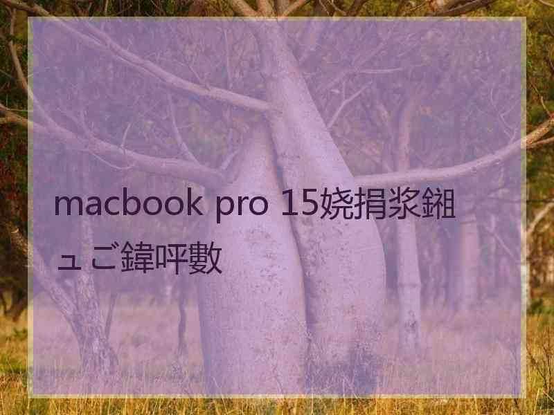 macbook pro 15娆捐浆鎺ュご鍏呯數