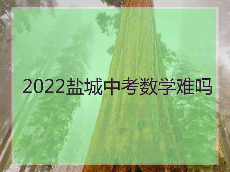 2022盐城中考数学难吗