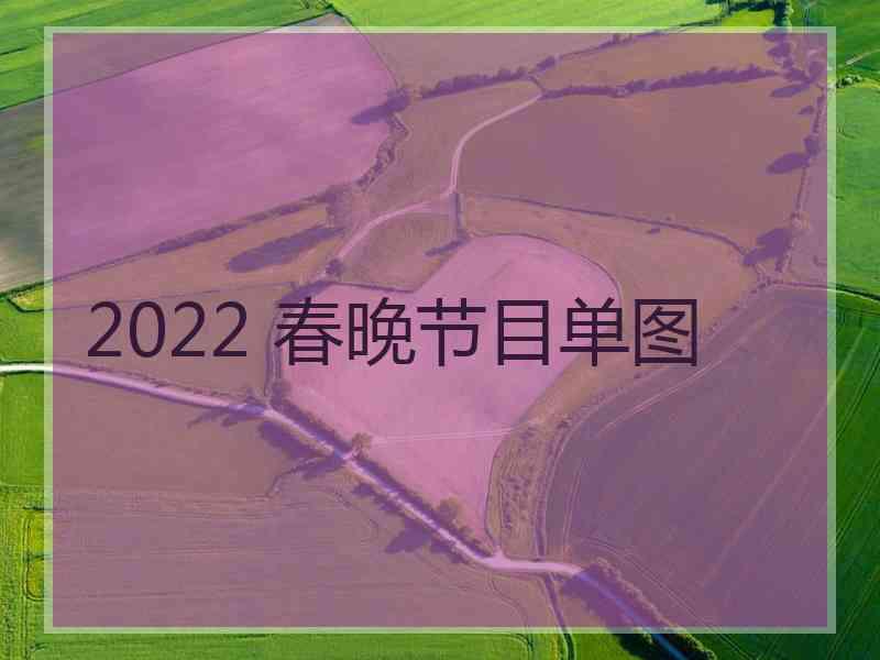 2022 春晚节目单图