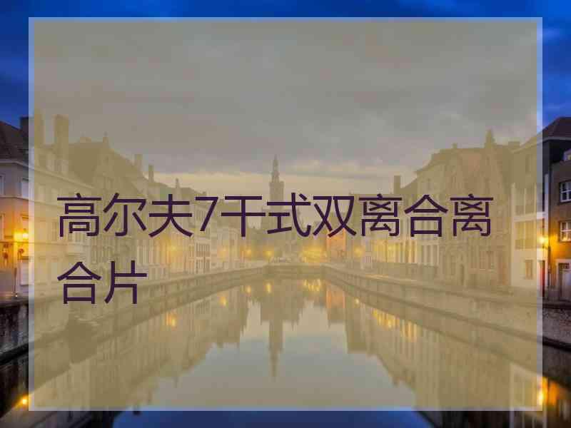 高尔夫7干式双离合离合片