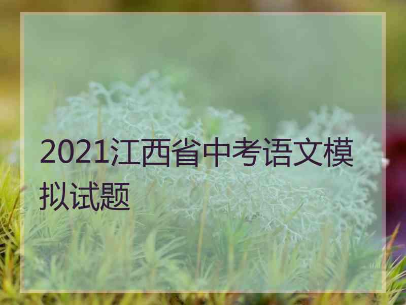 2021江西省中考语文模拟试题