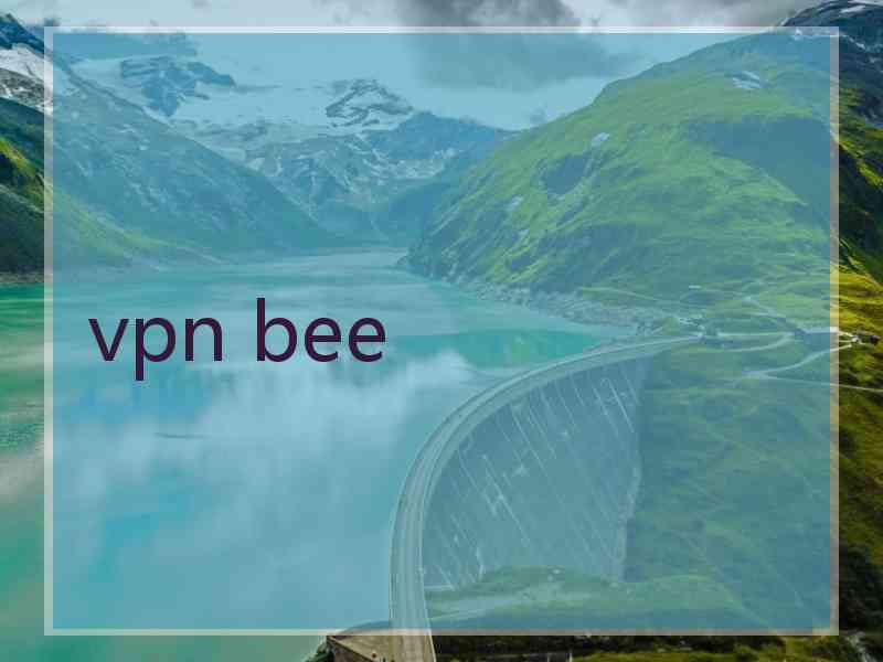 vpn bee