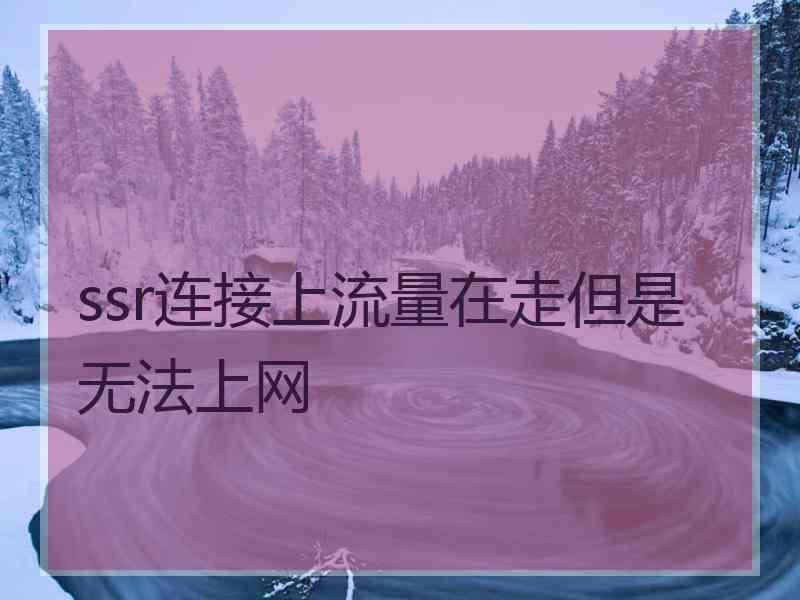 ssr连接上流量在走但是无法上网