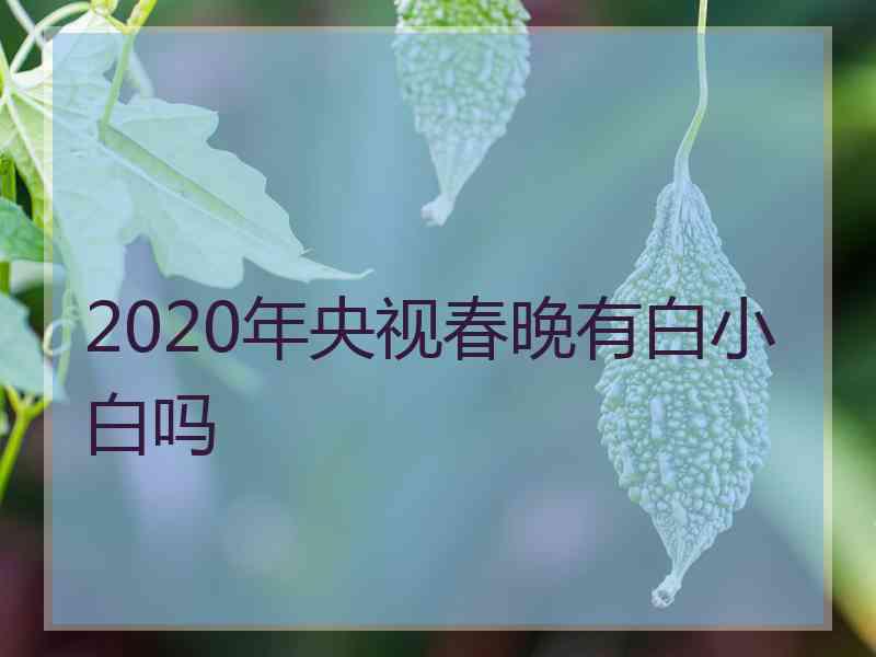 2020年央视春晚有白小白吗