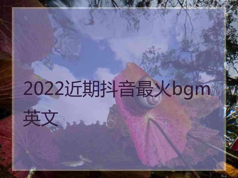 2022近期抖音最火bgm英文