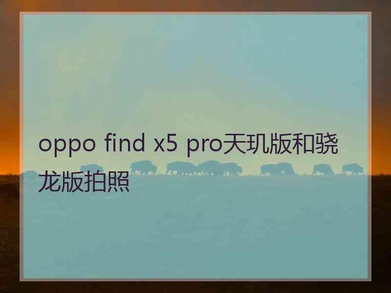 oppo find x5 pro天玑版和骁龙版拍照