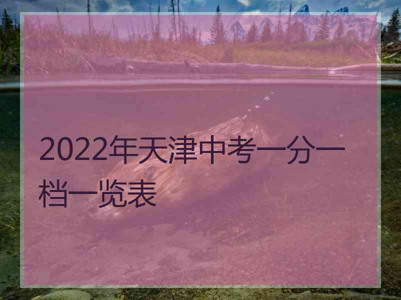 2022年天津中考一分一档一览表