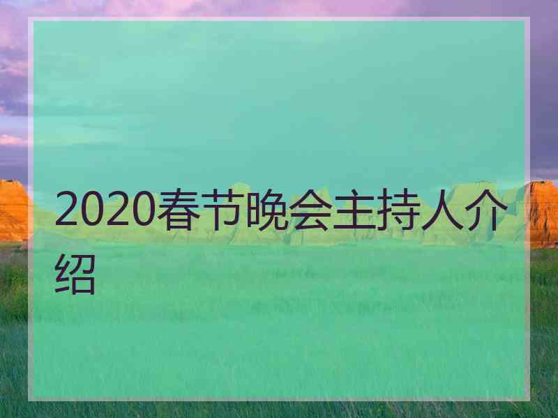 2020春节晚会主持人介绍