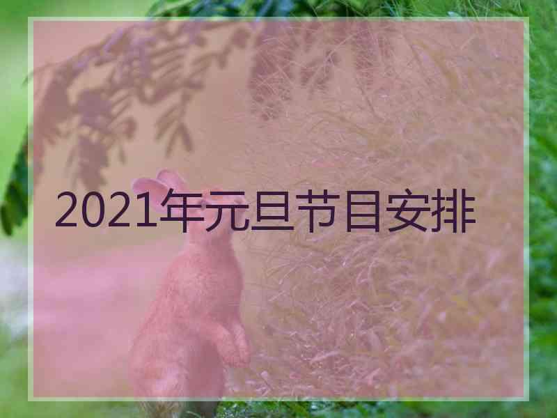 2021年元旦节目安排