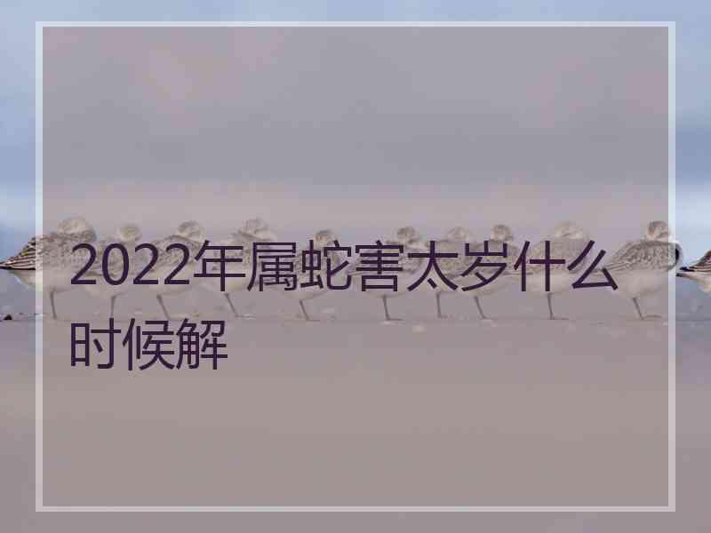 2022年属蛇害太岁什么时候解