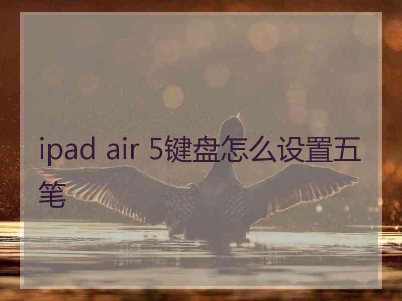 ipad air 5键盘怎么设置五笔