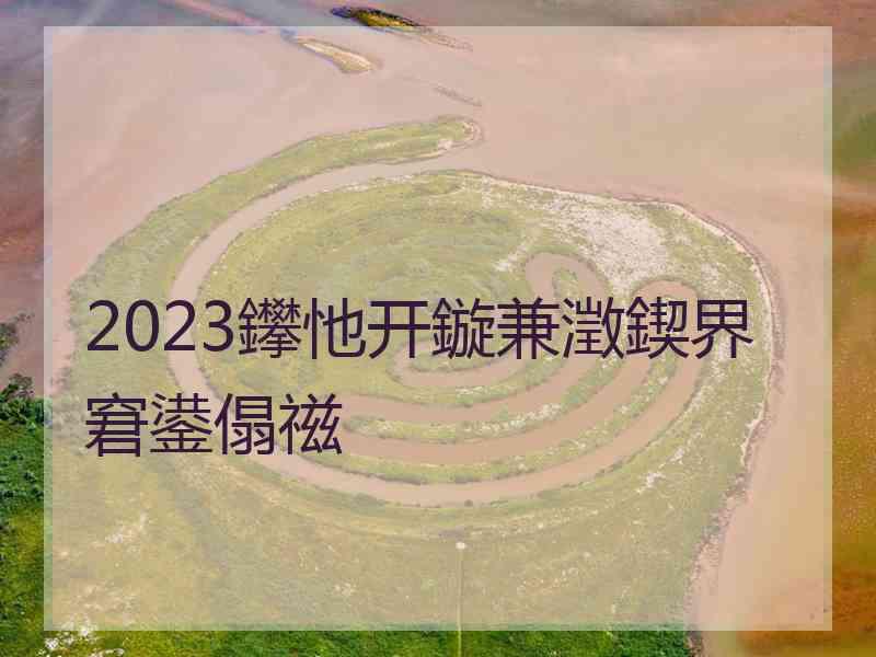 2023鑻忚开鏇兼澂鍥界窘鍙傝禌